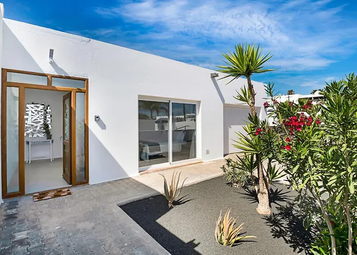 Field Of Dreams 플라야블랑카